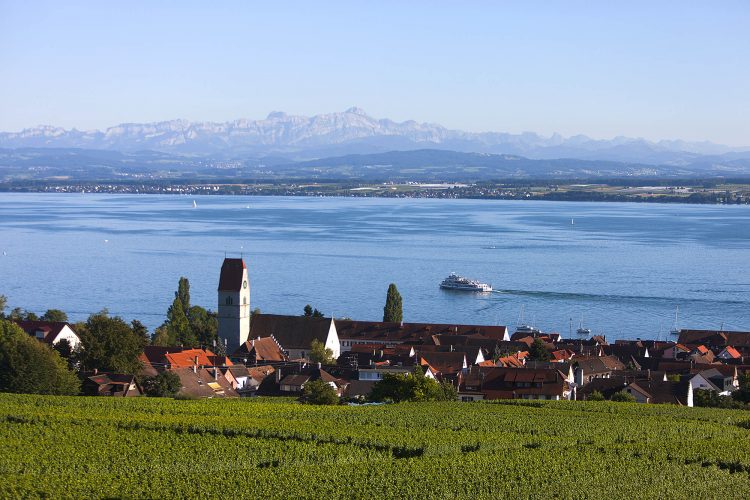 Winzerverein Hagnau